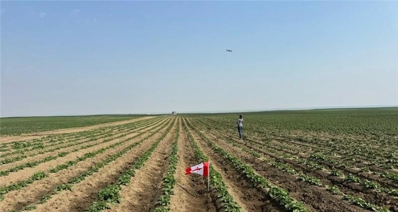 TerraSkyAI in action