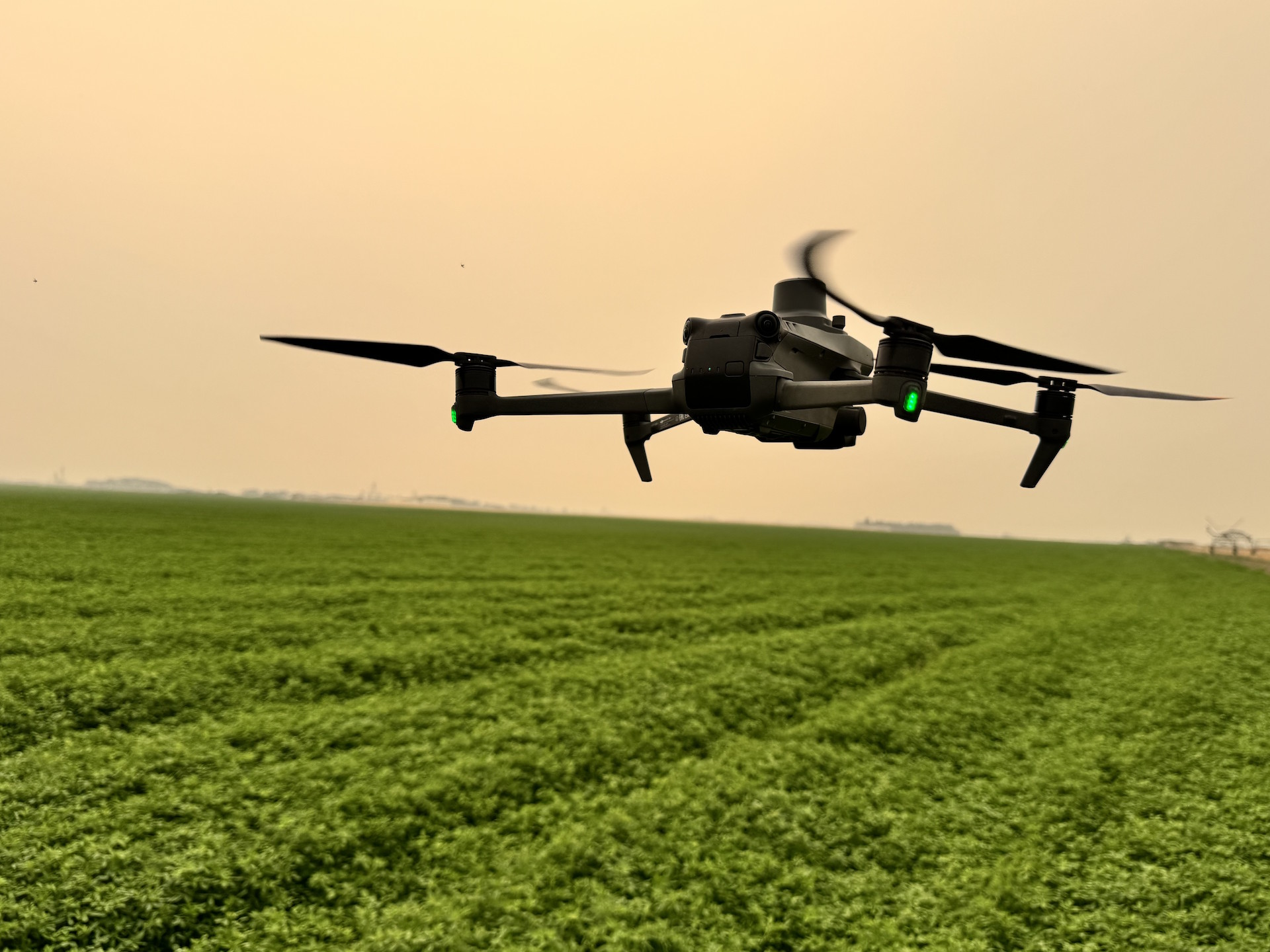 TerraSkyAI in action